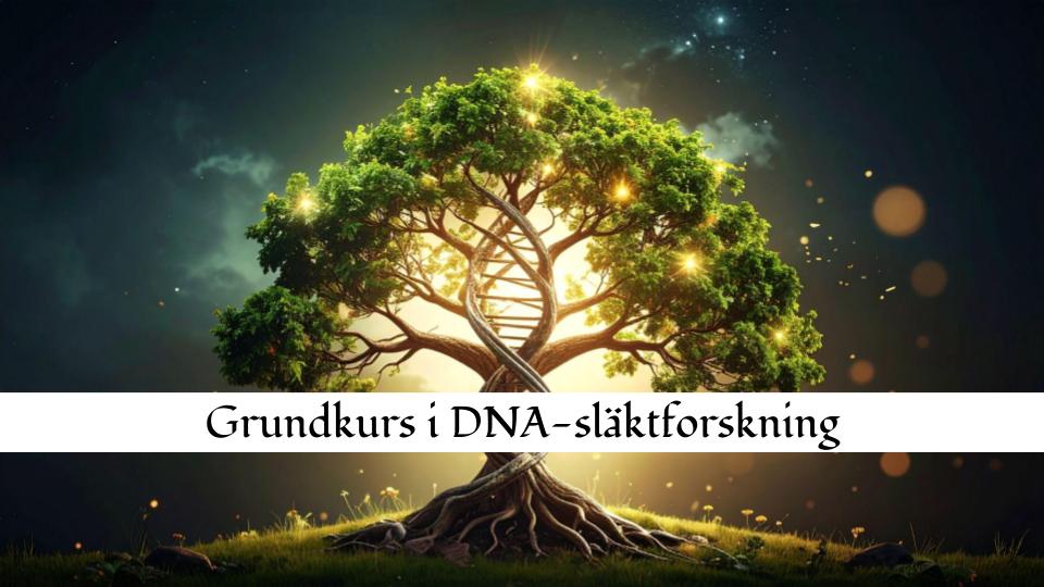 Grundkurs i DNA-släktforskning – hösten 2025
